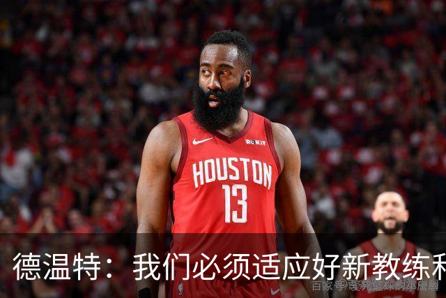 德温特：我们必须适应好新教练和新踢法